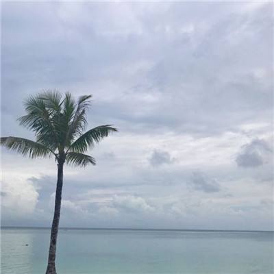 上下分的捕鱼app手机app下载